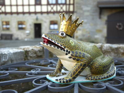 Bild 22 aus  Gutshof Gress