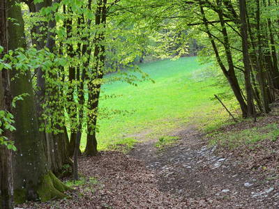 Bild 7 aus  Hollweck's Landoase