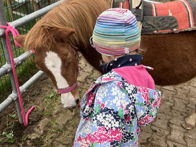 Bild 56 aus  Strublhof