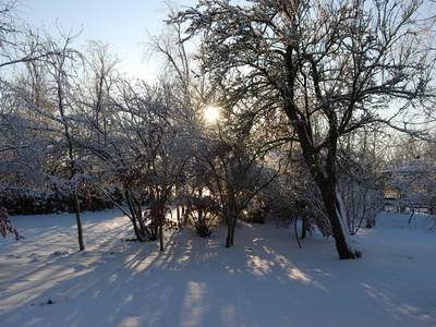 Bild 79 aus  Lindenhof