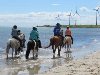 Bild 54 aus  Ferienhof Rauert