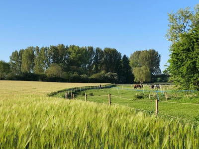 Pferdekoppel im Garten