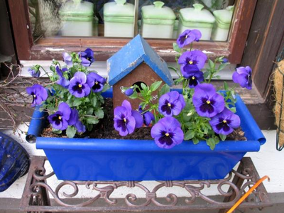 Bild 21 aus  Grashöfle