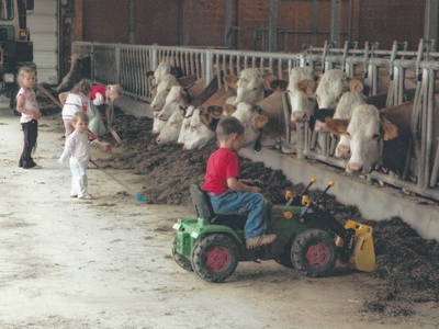 Bild 8 aus  Ferienhof Lang