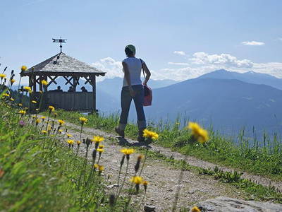 Bild 16 aus  Krebishof