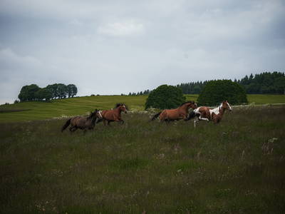 Bild 4 aus  Hof Klein