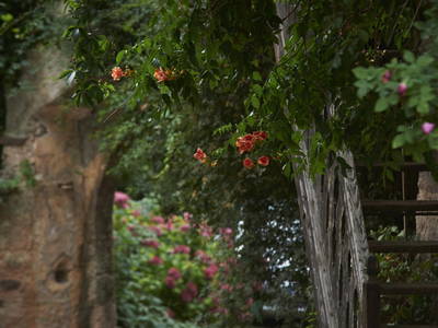 Bild 20 aus  Schloss Englar ****