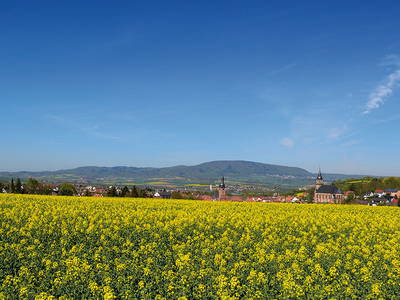 Bild 11 aus  Lautersheimer Gutshof
