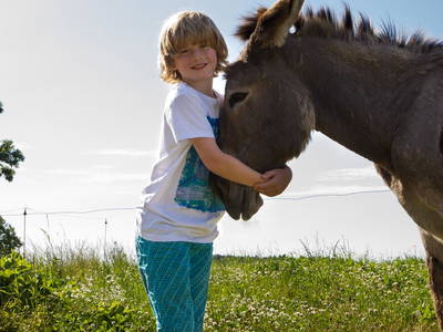 Bild 16 aus  Ostseebauernhof