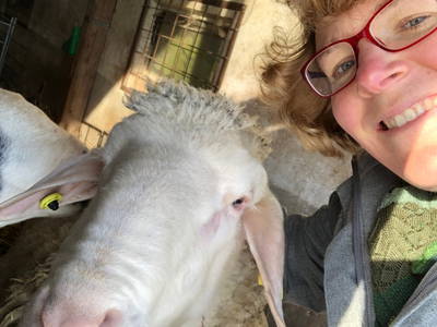 Bild 8 aus  Hof Altasilva - Rosenhof