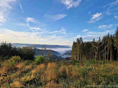 Bild 20 aus  Landgasthof Rademacher