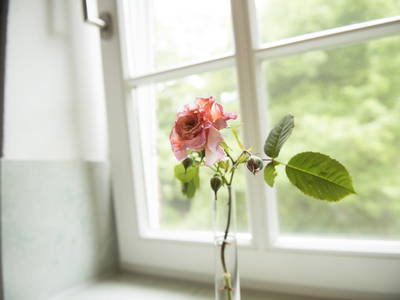 Bild 15 aus  LandSelection Ol' Backhus