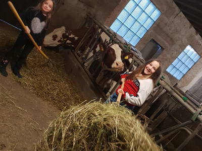 Bild 51 aus  Familien-Bauernhofurlaub im Herzen der Schweiz