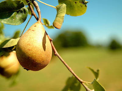 Bild 10 aus  Pokrzywnik 11
