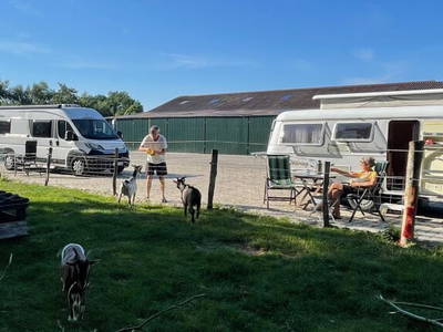 Bild 10 aus  Ferienhof Ostarle