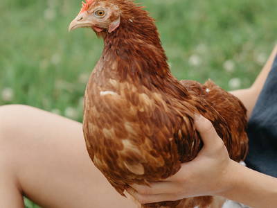 Bild 55 aus  LandSelection Bussjägerhof