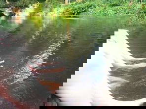 Bild 16 aus  Mühlenhof Wohlenbüttel