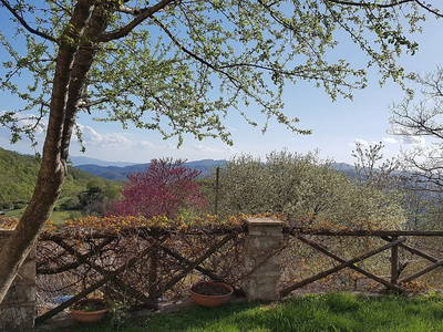 Bild 50 aus  Agriturismo Bartoli