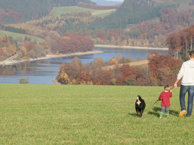 Bild 30 aus  Ferienhof  am Hennesee