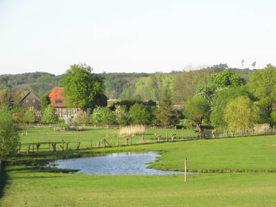 Bild 12 aus  Bio-Wildhof in Alleinlage mit  Boot