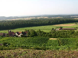 Bild 3 aus  Landgut  Scheuelberghof