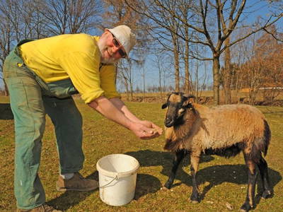 Bild 10 aus  Fichtelgebirgsblick