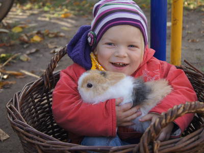 Bild 3 aus  Familienferienhof M. & M. Leubner