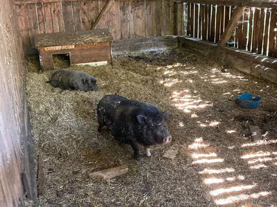 Bild 22 aus  Leverenzhof