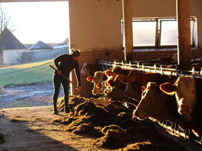 Bild 45 aus  Woferlhof