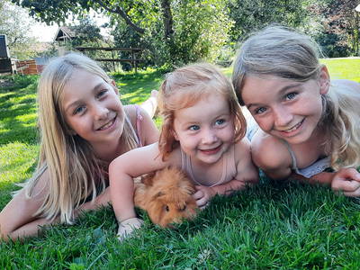 Bild 8 aus  Mojer Hof