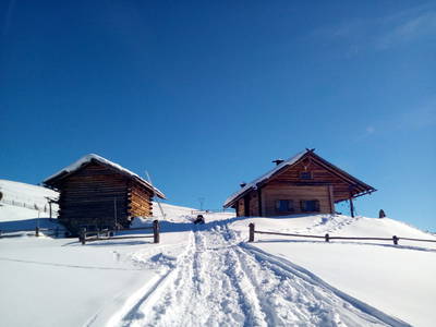 Bild 25 aus  Kreuzplon