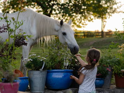 Bild 10 aus  Burgbauernhof am Katzenstein - Ursprünglichkeit des Landlebens gepaart mit Gesundheit und Luxus