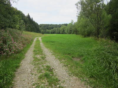 Waldweg ab Hof