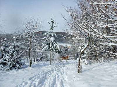 Bild 21 aus  Ferienhäuser Bellana