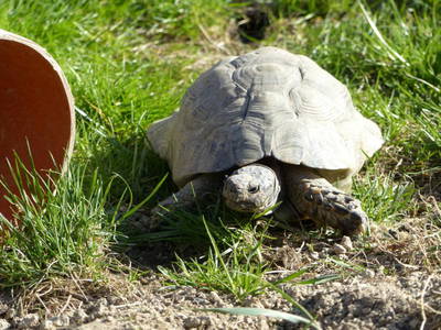 Bild 14 aus  Gretenhof