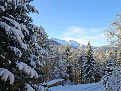 Bild 20 aus  Naturetouch -  Deine Kraftquelle in Steinberg am Rofan