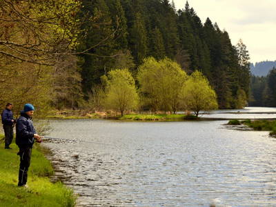 Bild 4 aus  Sternenhof