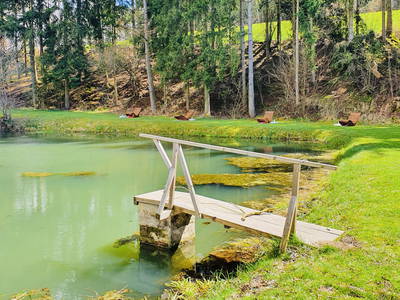 Bild 6 aus  Ferienhof & Campingplatz Schweinmühle