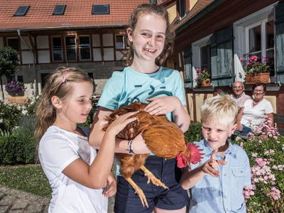 Bild 29 aus  Hellbachhof