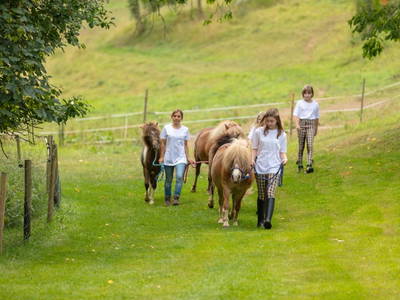 Bild 25 aus  Hof in Liebesdorf