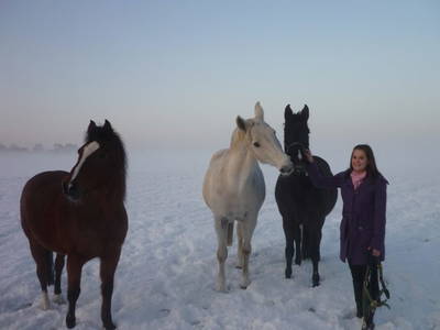 Bild 47 aus  Ferienhof Stegen