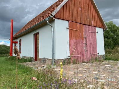 Bild 4 aus  Projektraum "Obst und Sterne"