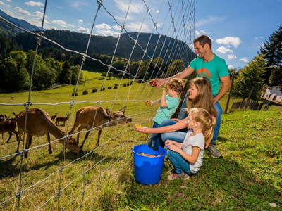 Bild 6 aus  Hirzighof