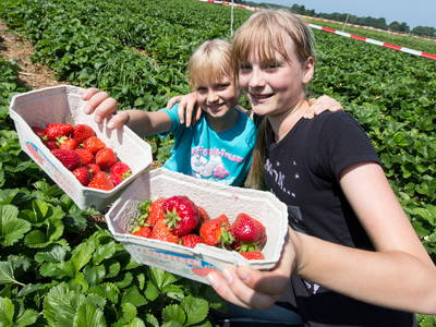 Bild 40 aus  Ferienhof Stegen