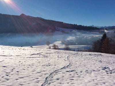 Bild 8 aus  Ferienwohnung Landhaus Waltner