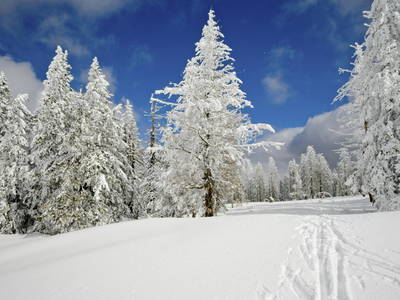 Einsame Skiwanderung zum Stübenwasen