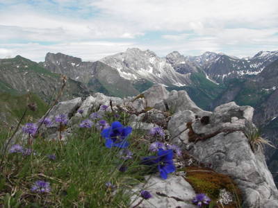 Bild 13 aus  Landhof Kiesel