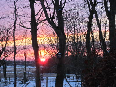 Bild 82 aus  Lindenhof