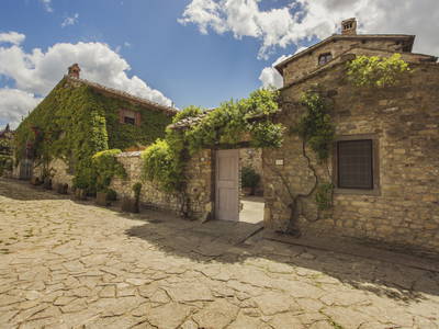 Bild 5 aus  LandSelection Weingut "IL PALAGIO"