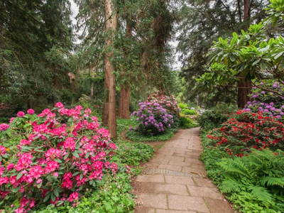 Bild 36 aus  Gästehaus Maria Rast